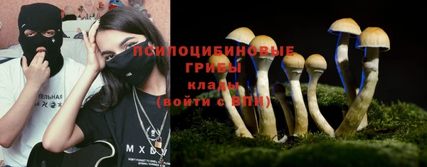 шишки Баксан