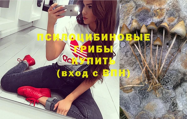 шишки Баксан