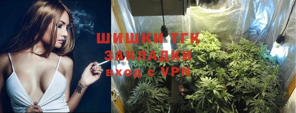 шишки Баксан